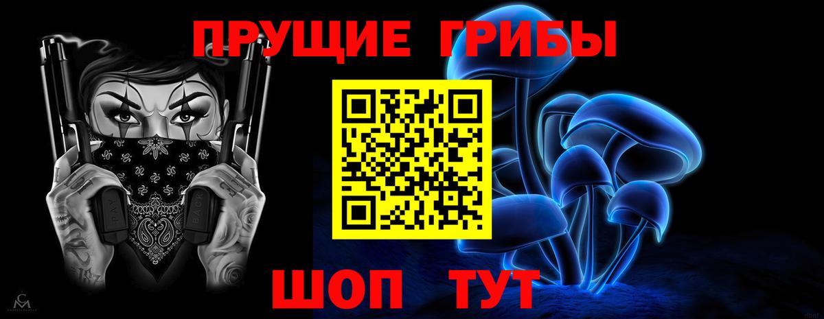 Галлюциногенные грибы Psilocybine cubensis Армавир